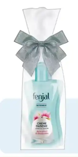 Rossmann Fenjal Geschenkset Dusche & Body Milk Angebot