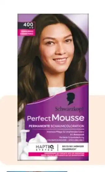 Rossmann Schwarzkopf Perfect Mousse Schaum Coloration Angebot