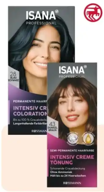 Rossmann Isana Professional Intensiv Creme Coloration Angebot