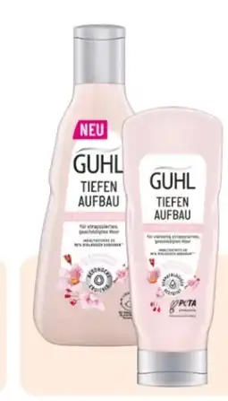 Rossmann Guhl Shampoo Angebot