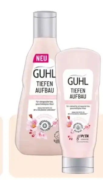 Rossmann Guhl Shampoo Angebot