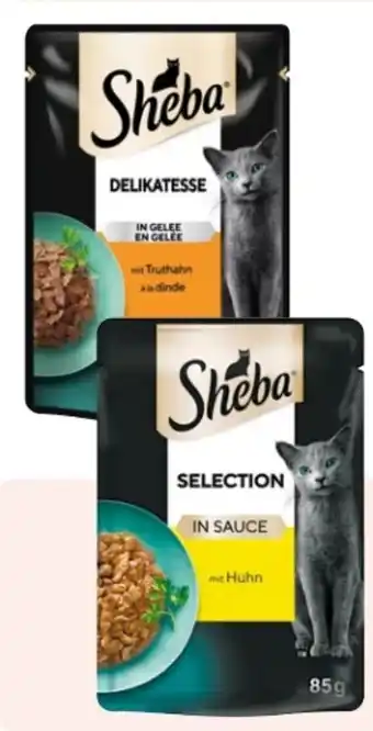 Rossmann Sheba Katzennahrung Angebot