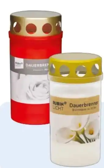 Rossmann Rubin Licht Dauerbrenner Angebot