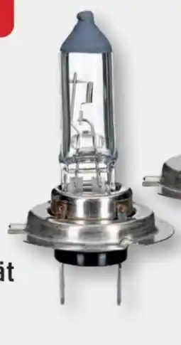 B1 Discount Baumarkt Unitec KFZ-Leuchtmittel H7 Angebot