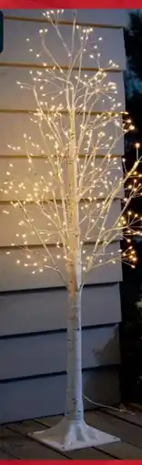 B1 Discount Baumarkt LED-Birkenbaum Angebot