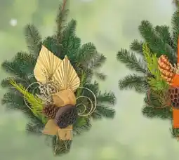 NETTO Grabsträuße Angebot