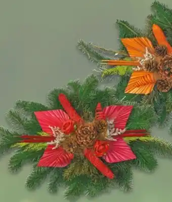 NETTO Doppelsträuße Angebot