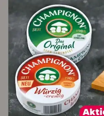 NETTO Käserei Champignon Camembert Angebot