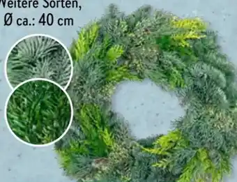 Aldi Süd Gardenline Kranz Angebot