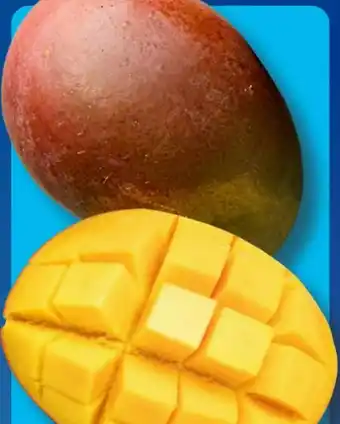 Aldi Süd Mango Angebot