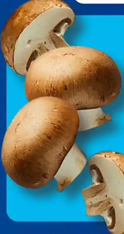 Aldi Süd Champignons Angebot