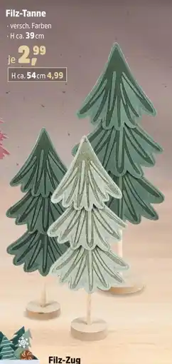 Thomas Philipps Filz-tanne Angebot