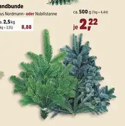 Thomas Philipps Nordmann tanne Angebot