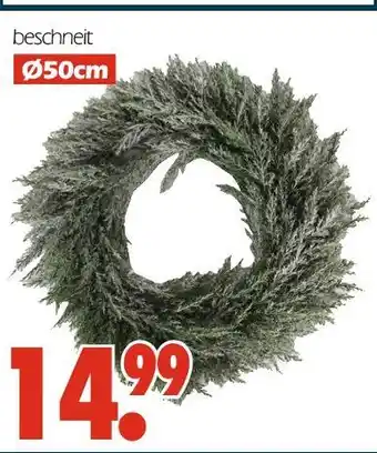 Wreesmann Beschneit Angebot