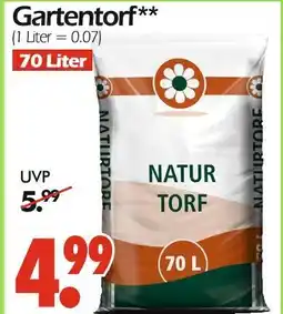 Wreesmann Gartentorf Angebot
