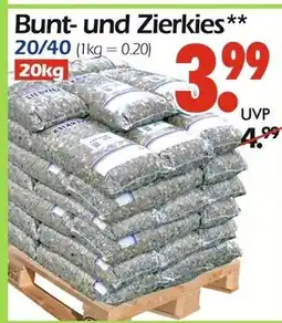 Wreesmann Bunt- und zierkies Angebot