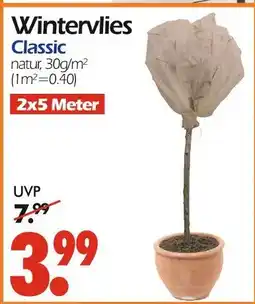 Wreesmann Wintervlies classic Angebot