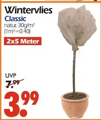 Wreesmann Wintervlies classic Angebot
