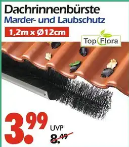 Wreesmann Top flora dachrinnenbürste Angebot