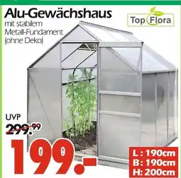 Wreesmann Top flora alu-gewächshaus Angebot
