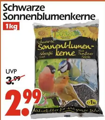 Wreesmann Schwarze sonnenblumenkerne Angebot