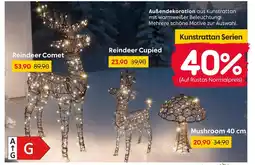 Rusta Reindeer comet Angebot