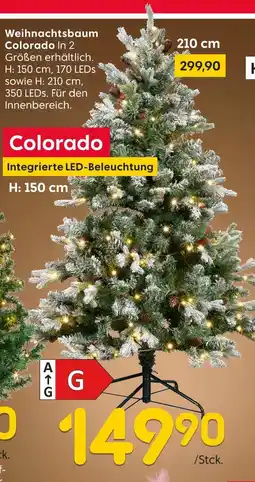 Rusta Weihnachtsbaum colorado Angebot