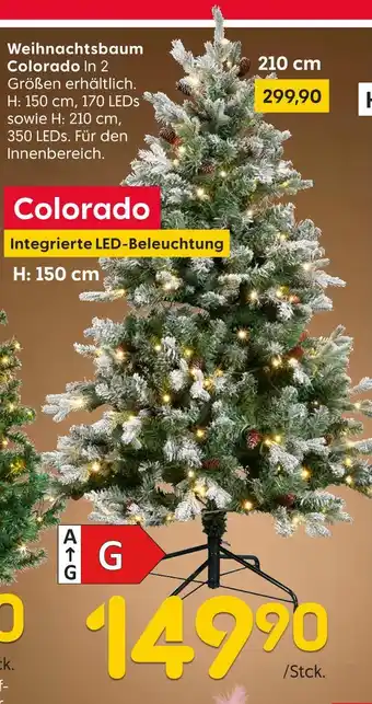 Rusta Weihnachtsbaum colorado Angebot