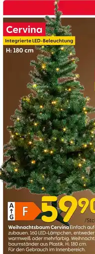 Rusta Weihnachtsbaum cervina Angebot