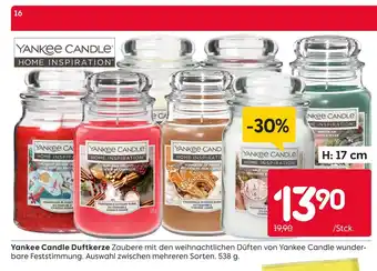Rusta Yankee candle duftkerze Angebot