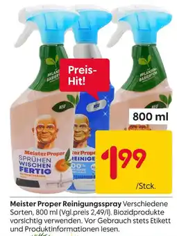 Rusta Meister proper reinigungsspray Angebot