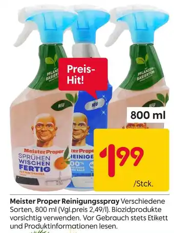Rusta Meister proper reinigungsspray Angebot