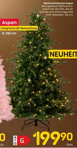 Rusta Weihnachtsbaum aspen Angebot