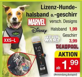 Zimmermann Marvel lizenz-hundehalsband Angebot