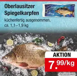 Zimmermann Oberlausitzer spiegelkarpfen Angebot