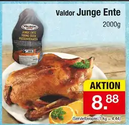 Zimmermann Valdor junge ente Angebot