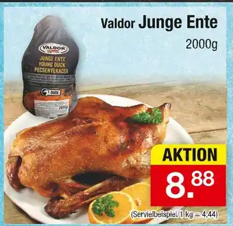Zimmermann Valdor junge ente Angebot