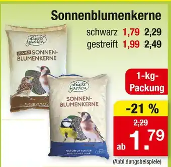 Zimmermann Birds garden schwarz sonnenblumenkerne Angebot
