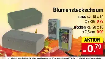 Zimmermann Blumensteckschaum nass Angebot