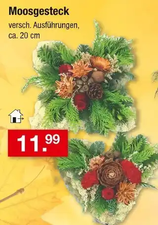 Zimmermann Moosgesteck Angebot