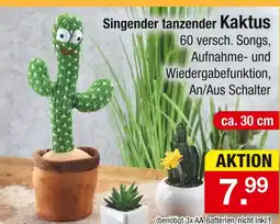 Zimmermann Singender tanzender kaktus Angebot