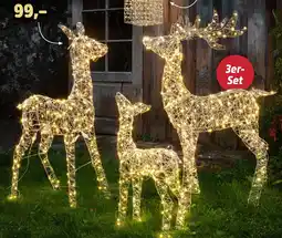 Thomas Philipps LED-Rentierfamilie Angebot