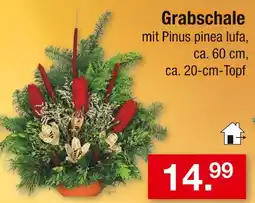 Zimmermann Grabschale Angebot