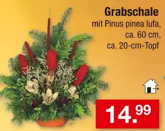 Zimmermann Grabschale Angebot