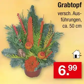 Zimmermann Grabtopf Angebot