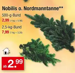 Zimmermann Nobilis o. nordmanntanne Angebot
