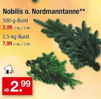 Zimmermann Nobilis o. nordmanntanne Angebot