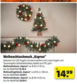 Hagebau Weihnachtskranz „kaprun“ Angebot