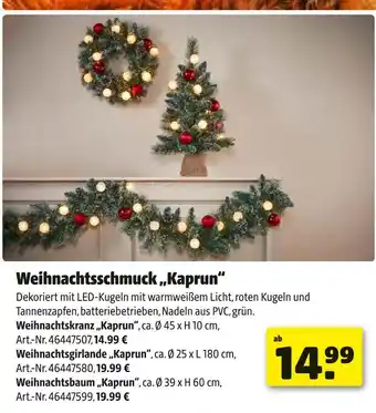 Hagebau Weihnachtskranz „kaprun“ Angebot