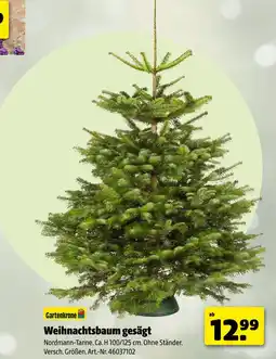 Hagebau Weihnachtsbaum gesägt Angebot